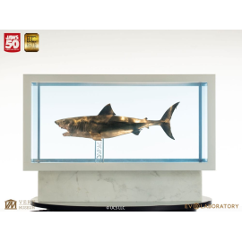  Jaws 1/18 Scale Model Jaws Bronze 60 cm